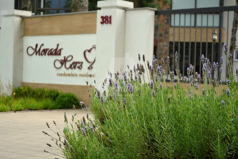Locar-in Gramado Morada Herz